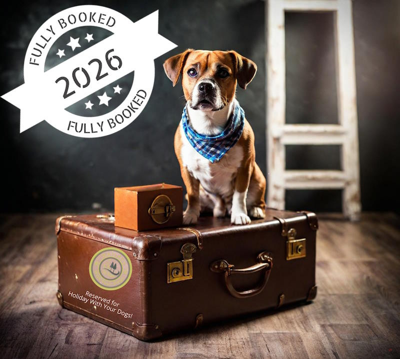 Sad dog sitting on vintage leather suitcase with travel accessories, representing Holiday With Your Dogs being fully booked dog-friendly holidays until 2027