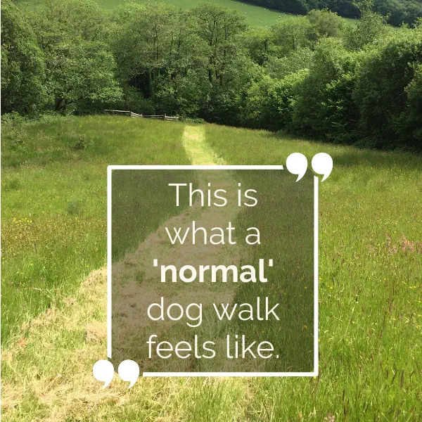Guest quote from Holiday With Your Dogs Guest Book 'This is what a normal dog walk feels ike.