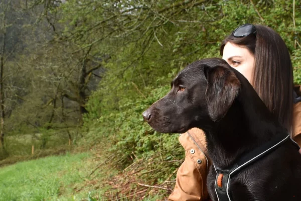 Woman standing with her dog, both watching their surroundings in a large woodland surrounded by trees.