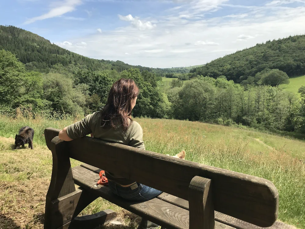 Woman sitting on wooden bench with off lead dogs, looking out over lush green valley and woodland at Holiday With Your Dogs Wales.